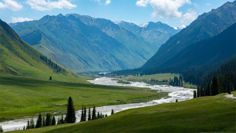 公司治理獲高度認(rèn)可！奇正藏藥入選中上協(xié)“最佳實(shí)踐案例”